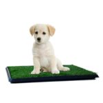 PETMAKER Puppy Potty Trainer - The Indoor Restroom for Pets 16 x 20 in